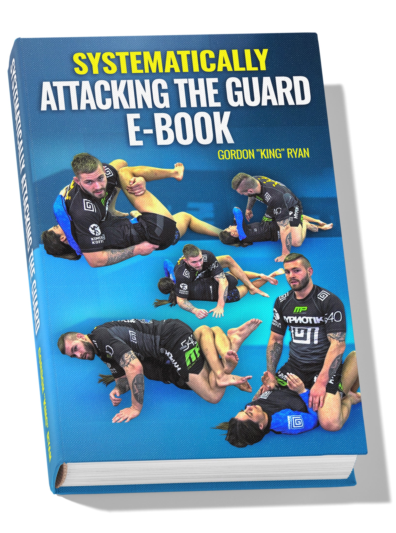Systematically Attacking The Guard E-Book by Gordon Ryan